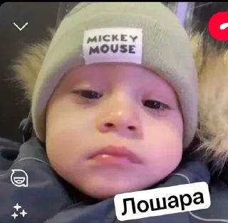 Sticker from Pelmeni 🥟