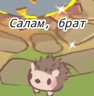 😚 emoji Кошки и суп🍓 Telegram sticker 7 of 23