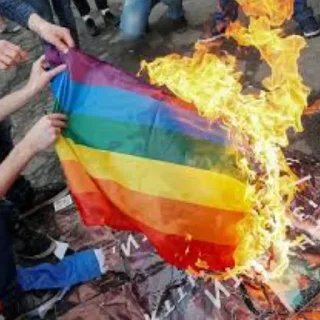 🔥 emoji ЛГБТ - ДНО Telegram sticker 9 of 11