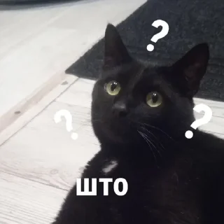 ❔ emoji сэм&черныш Telegram sticker 4 of 9