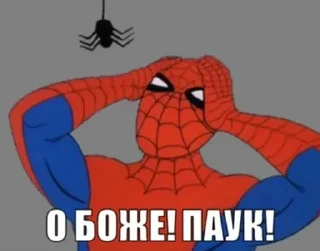 🕷 emoji SPIDER MEM • @TgStickery Telegram sticker 3 of 32
