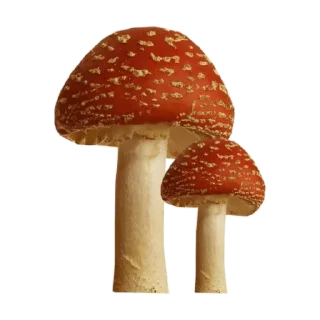 🍄 emoji aesthetics by @stikeraestetik Telegram sticker 11 of 62
