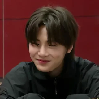 🦊 emoji ✦ ָ ֙⋆ jeongin by @paradoxstickers Telegram sticker 10 of 60