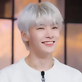 🦈 emoji ✦ ָ ֙⋆ jeongin by @paradoxstickers Telegram sticker 8 of 30