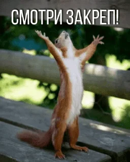 👆 emoji Рулетовая ролевая Telegram sticker 21 of 120