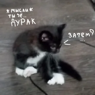 😳 emoji Китик Telegram sticker 5 of 7
