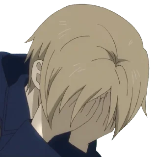 😭 emoji Natsume Yuujinchou • @tsuuii @kamisamanojinja Telegram sticker 6 of 118