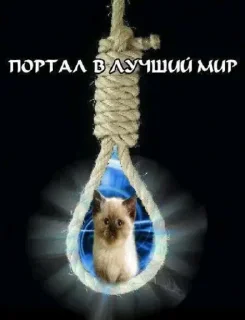 😃 emoji мужики сосатб Telegram sticker 12 of 117