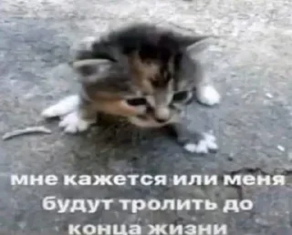 😭 emoji мужики сосатб Telegram sticker 15 of 117
