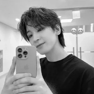 Sticker from bw wonwoo @stckheavn