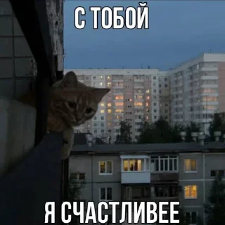 🌟 emoji Ты правда…? Telegram sticker 8 of 42