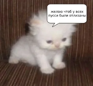 😛 emoji самые всратые мемы Telegram sticker 19 of 120