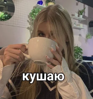 Sticker from Reshetovaaa fan