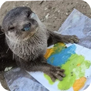 🐦 emoji Otters and RYT Telegram sticker 19 of 88