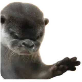 Sticker from Otters and RYT