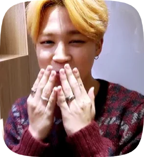 😘 emoji BTS Telegram sticker 6 of 17