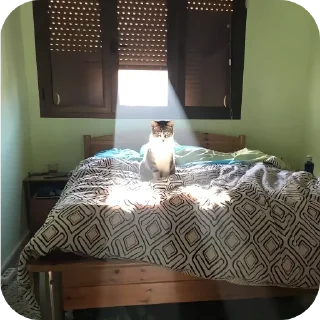 😸 emoji Рандом стики Telegram sticker 5 of 103