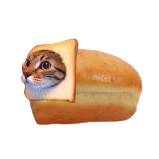 🤩 emoji cat @stikeru_ot_mikoko Telegram sticker 10 of 24