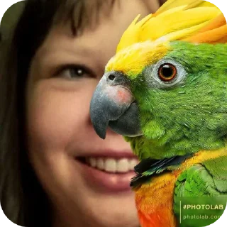 🐦 emoji чат вип карали Telegram sticker 6 of 7