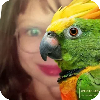 🐦 emoji чат вип карали Telegram sticker 7 of 7