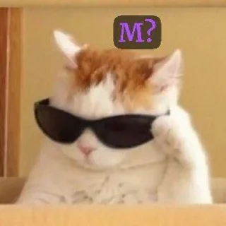 🌟 emoji memes in Russian Telegram sticker 20 of 68