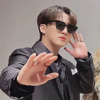 ☘ emoji ✞changbin✞ ¡! 𝑏𝑦 @kikikoosw Telegram sticker 17 of 29