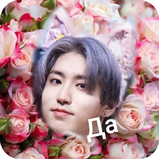 🌸 emoji Я стей стики: @Haniilovelino Telegram sticker 14 of 37