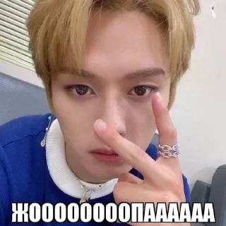 🔥 emoji дикая львица @whoanzhel Telegram sticker 17 of 20