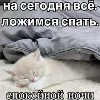 🌟 emoji Шиза Абобы228 :: @Aboba228_011 @fStikBot Telegram sticker 17 of 120