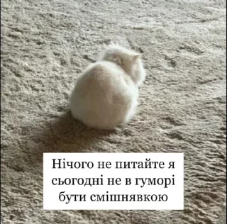 🌟 emoji Шиза Абобы228 :: @Aboba228_011 @fStikBot Telegram sticker 20 of 120