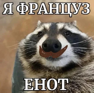 🇫🇷 emoji енотеки брадочки😎 Telegram sticker 5 of 43