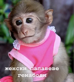 Sticker from пепапеве гемабоди