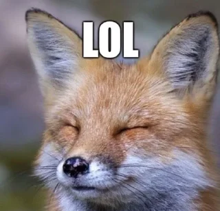 🌟 emoji FOXES.ᐟ⭒@charlotteveyas Telegram sticker 9 of 30