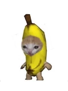 🍌 emoji Коты Telegram sticker 20 of 22
