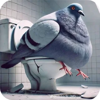 🐦 emoji чита дрита Telegram sticker 12 of 120
