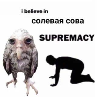 🧎‍♂ emoji Солевая сова Telegram sticker 7 of 13