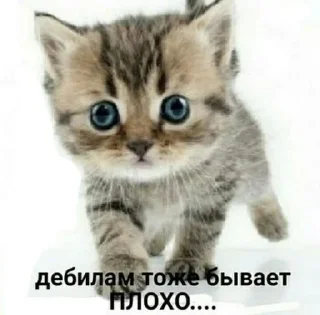 Sticker from хто не скаче той москаль