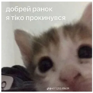 🙂 emoji дід інсайди Telegram sticker 6 of 21