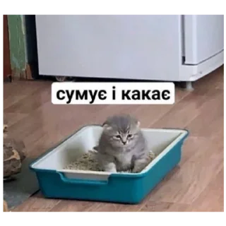 💩 emoji дід інсайди Telegram sticker 20 of 21