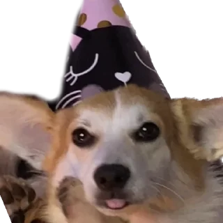 🥳 emoji Сара Telegram sticker 19 of 105