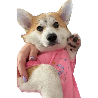 👋 emoji Сара Telegram sticker 16 of 105