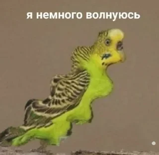 😓 emoji Ги ги за шаги понимаю Telegram sticker 22 of 96