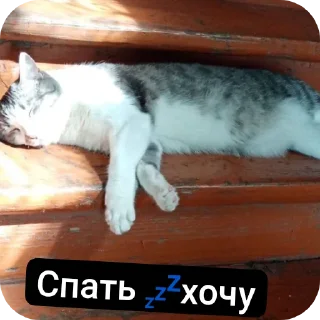 🔳 emoji Супер мур Telegram sticker 8 of 58