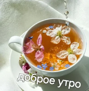 Sticker from Мяу кря кря#