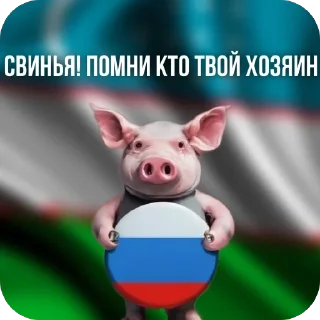 🫥 emoji фургон Telegram sticker 20 of 23