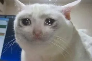 😢 emoji Трахать by @Shadow_Duck Telegram sticker 19 of 56