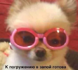 🌈 emoji какая-то хуета Telegram sticker 23 of 63