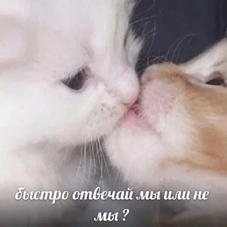 💗 emoji Китеки Telegram sticker 13 of 73