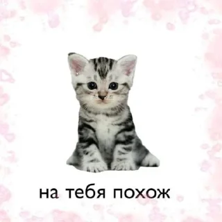 💗 emoji Китеки Telegram sticker 10 of 73