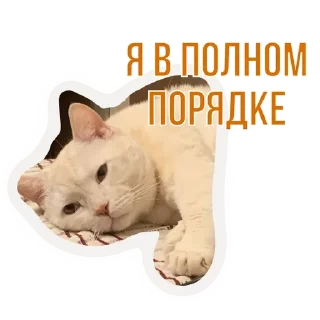 🌟 emoji Бусенки Telegram sticker 7 of 51